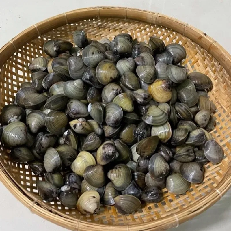 Hến