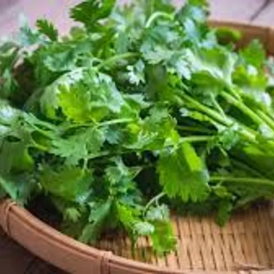 Hình ảnh sản phẩm Rau mùi - Xuân Shop Việt Nhật Kawagoe